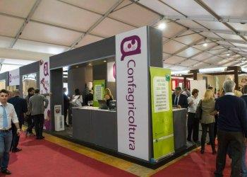 Consumi, come cambia lapproccio al vino. Gli incontri di Confagricoltura al Vinitaly