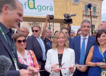 A Divinazione Expo 24 con ConfagorÃ : uno spazio sullâagricoltura di oggi e di domani in concomitanza del G7