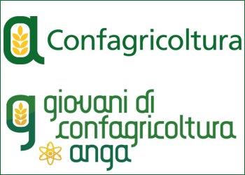 Mercato della soia, Anga e Confagricoltura: definire piano proteico nazionale per accrescere lautoapprovvigionamento