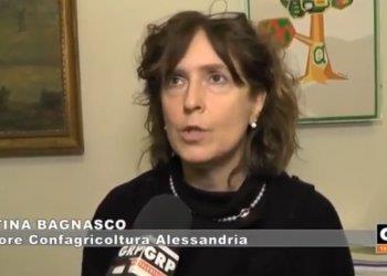 Intervista televisiva GRP Piemonte - Peste suina africana