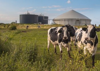 DL Bollette: Necessarie modifiche per non azzerare il contributo delle rinnovabili alla sicurezza energetica nazionale