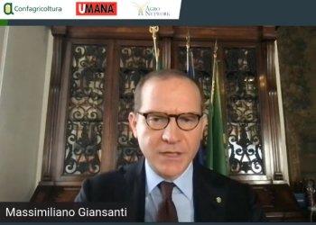 Grano, mais e soia: quotazioni ancora in aumento. Giansanti: si al piano anticrisi di Macron per lagricoltura europea e nazionale