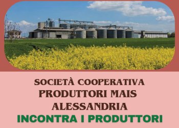 Incontro con la Produttori Mais Alessandria sulla filiera del grano tenero 