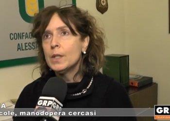 Manodopera e obbligo vaccinazione anti-Covid per over 50 - il servizio di GRP Piemonte visualizza il video