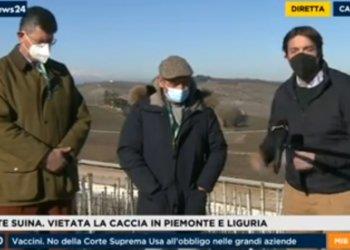 Peste suina africana: live da Cassine - il servizio di RAI News 24 - visualizza il video