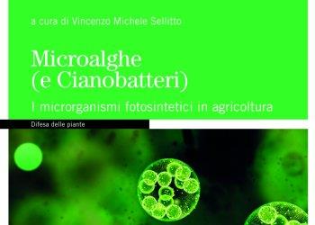 Libri Edagricole - Microalghe (e Cianobatteri)