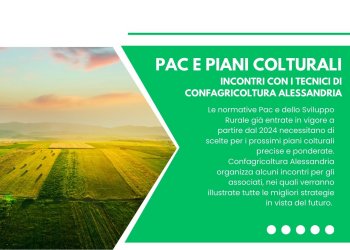 Pac e piani colturali: gli incontri organizzati da Confagricoltura Alessandria