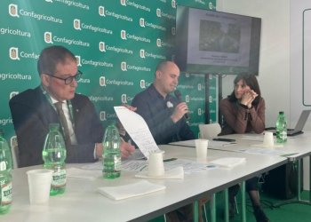 Confagricoltura presenta ConfagriCER: Nasce la prima comunità energetica rinnovabile nazionale per il mondo agricolo