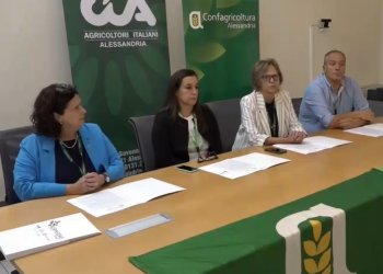 Agricoltura in crisi, i prezzi non coprono i costi, il servizio di Telecity