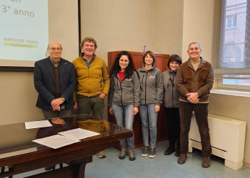 Progetto flavescenza dorata della vite 2024 con il contributo della Camera di Commercio di Alessandria - Asti