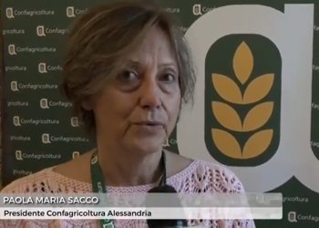 Da Food&Scienze Festival Lab Alessandria: il vino e le innovazioni in cantina