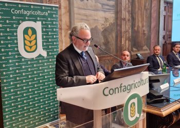 Agricoltura e credito: rafforzare il dialogo per accompagnare le imprese nello sviluppo sostenibile