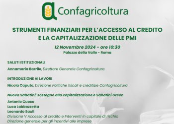 Strumenti finanziari per l'accesso al credito: convegno a  Palazzo della Valle il 12 novembre alle 10.30