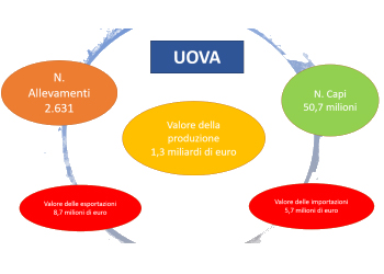 Pasqua 2021, Confagricoltura: quot;Premiate le uova verequot;