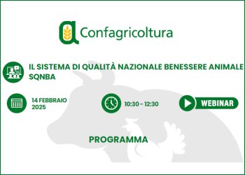 Webinar informativo sul Sistema di Qualita' Nazionale Benessere Animale