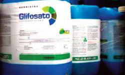 Glifosate